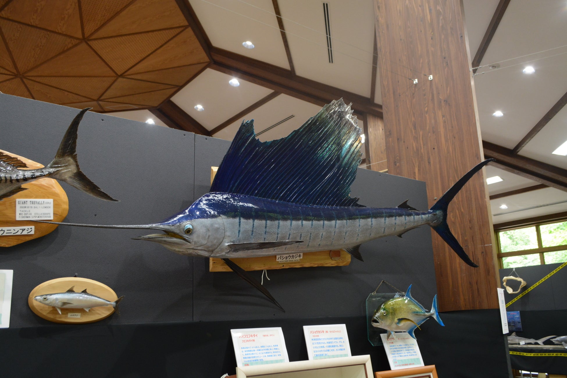 レアな深海魚や危険な魚がいっぱい！魚魚展開催中！【国営アルプスあづみの公園　堀金・穂高地区】