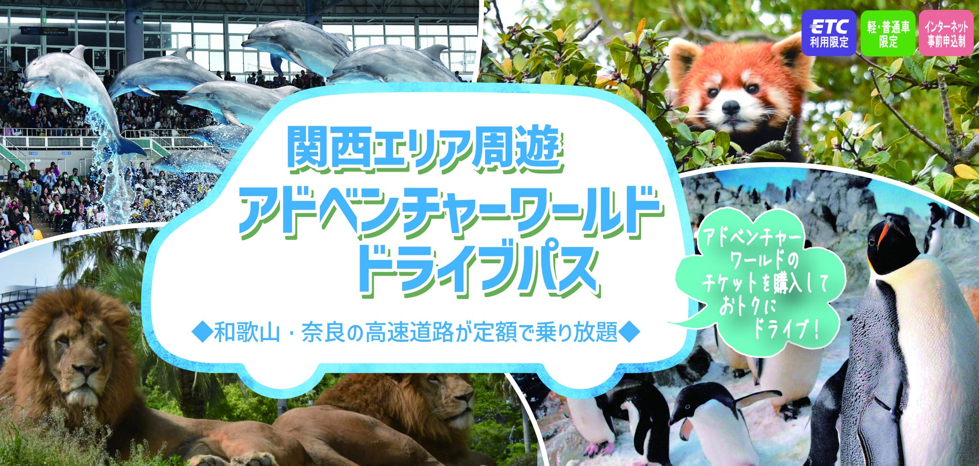 恐竜のまち・勝山で、恐竜の世界観を楽しめる「日帰り天然温泉 恐竜のお宿&SPA」としてリブランドオープン