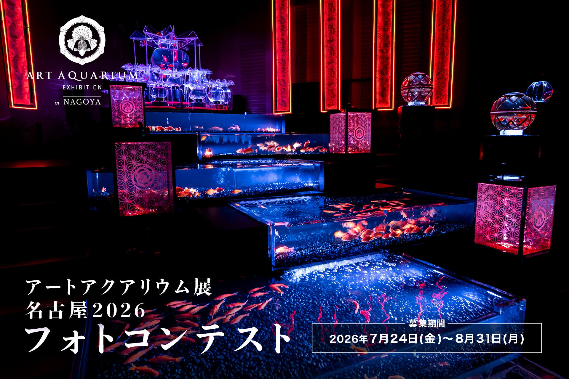【スプリング・ジャパンで飛ぶ秋旅チャンス！】賢く楽しむ「秋色」発見の旅。