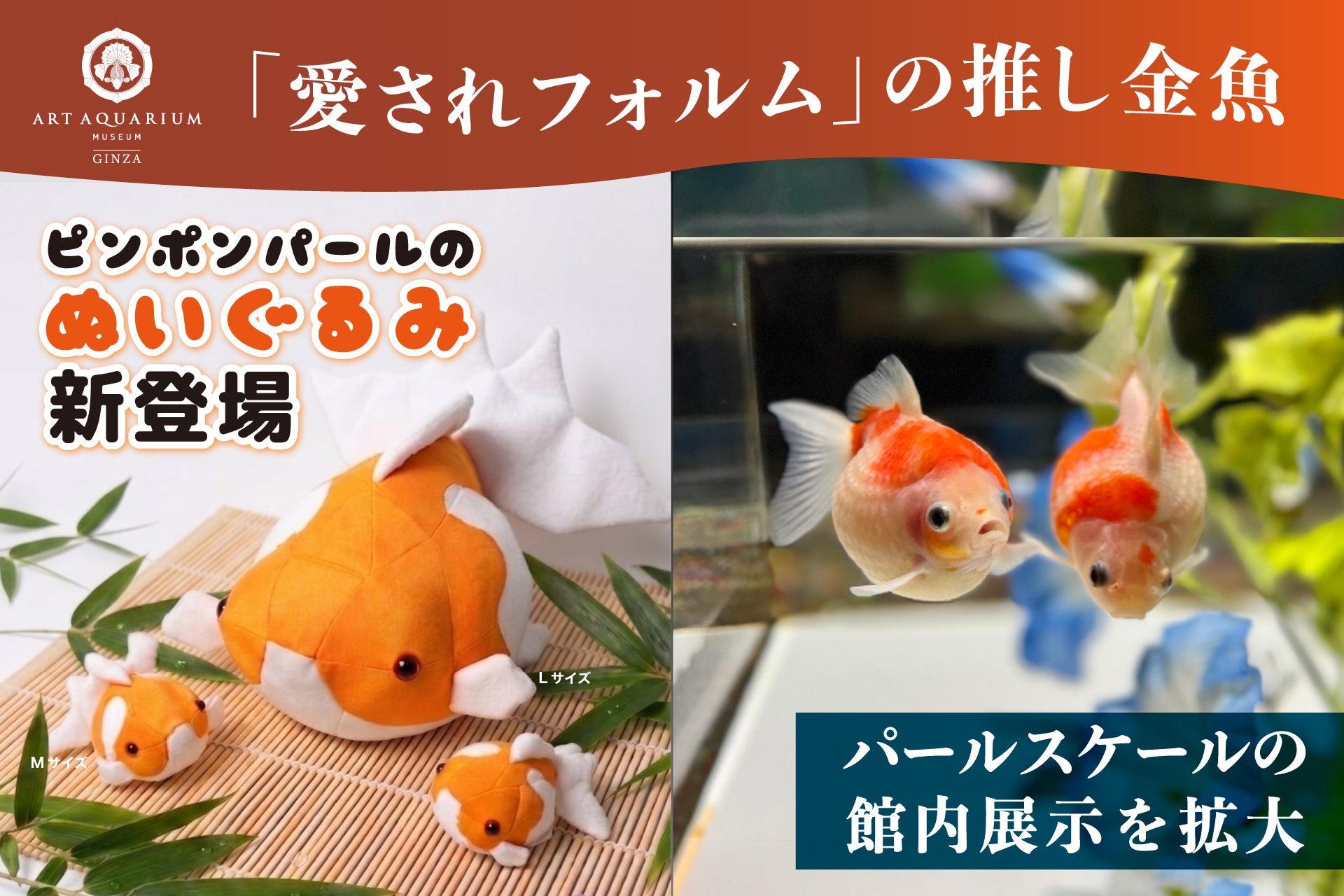 「愛されフォルム」の推し金魚！ まんまる可愛い“ピンポンパール”のぬいぐるみが新登場！ 発売を記念し “パールスケール”の館内展示を拡大！