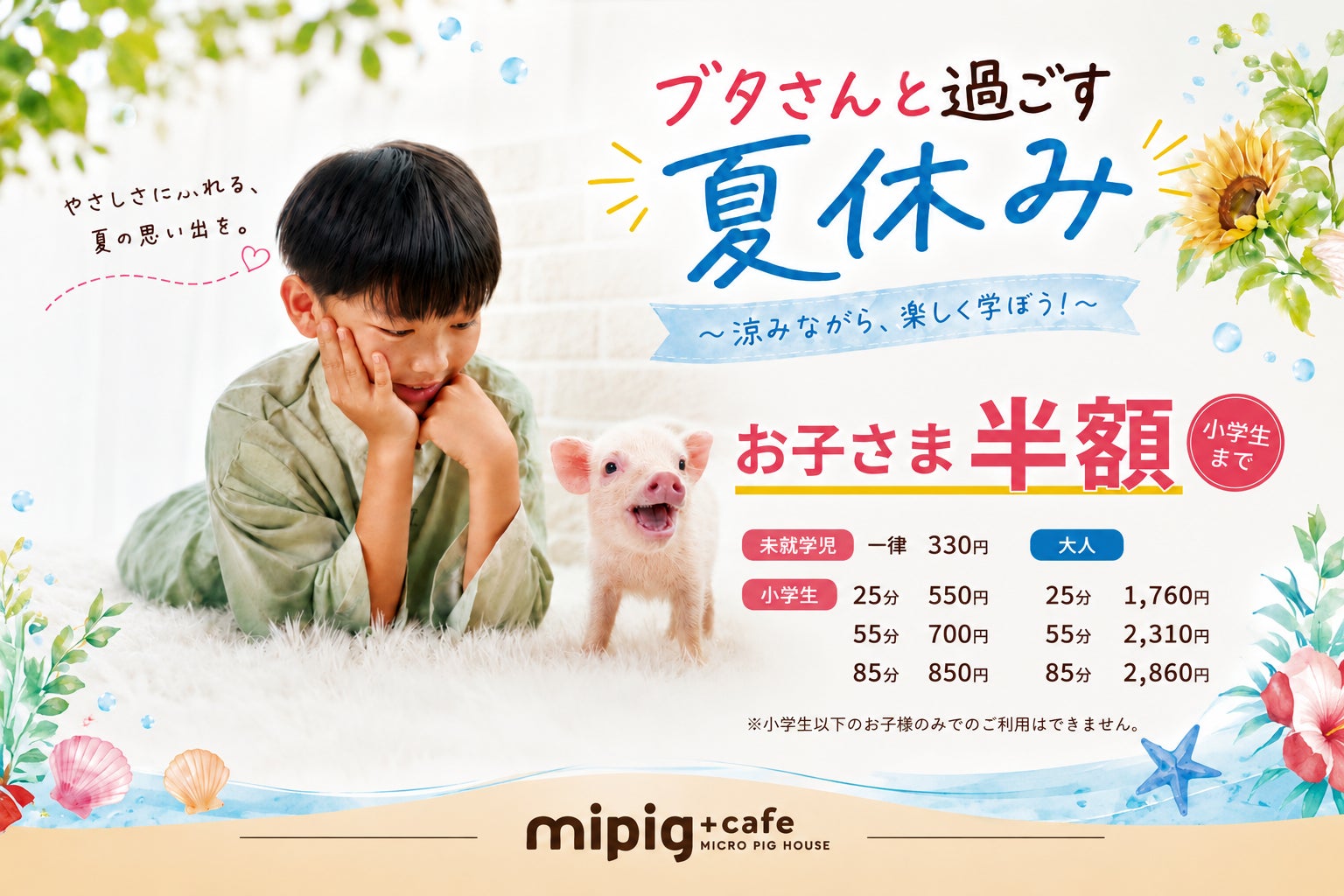 猛暑の夏休みも、涼しい店内でブタさんと一緒に宿題・自由研究を。マイクロブタカフェ「mipig cafe」全国14店舗でお子様半額キャンペーンを実施中！