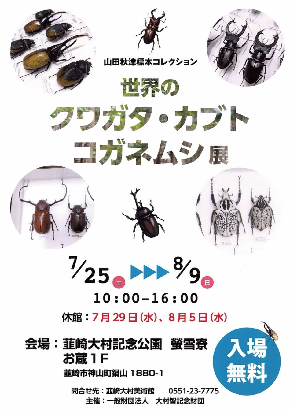 【入場無料】夏休み注目の昆虫展がパワーアップして開催中！韮崎大村記念公園にて「〜山田秋津標本コレクション〜 世界のクワガタ・カブト・コガネムシ展」を8月9日(日)まで開催