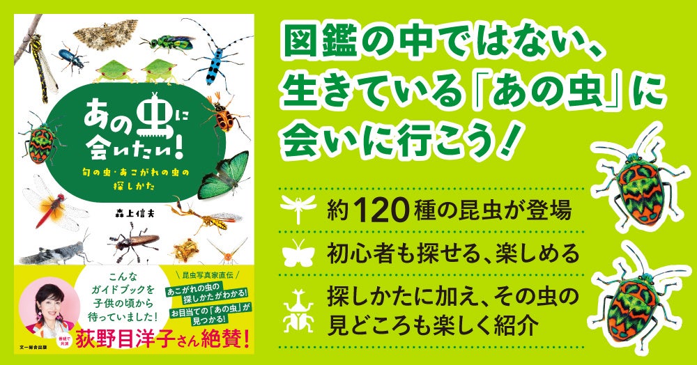 お目当ての昆虫を見つけるための、ノウハウと見どころを満載！『あの虫に会いたい！ 旬の虫・あこがれの虫の探しかた』好評発売中！