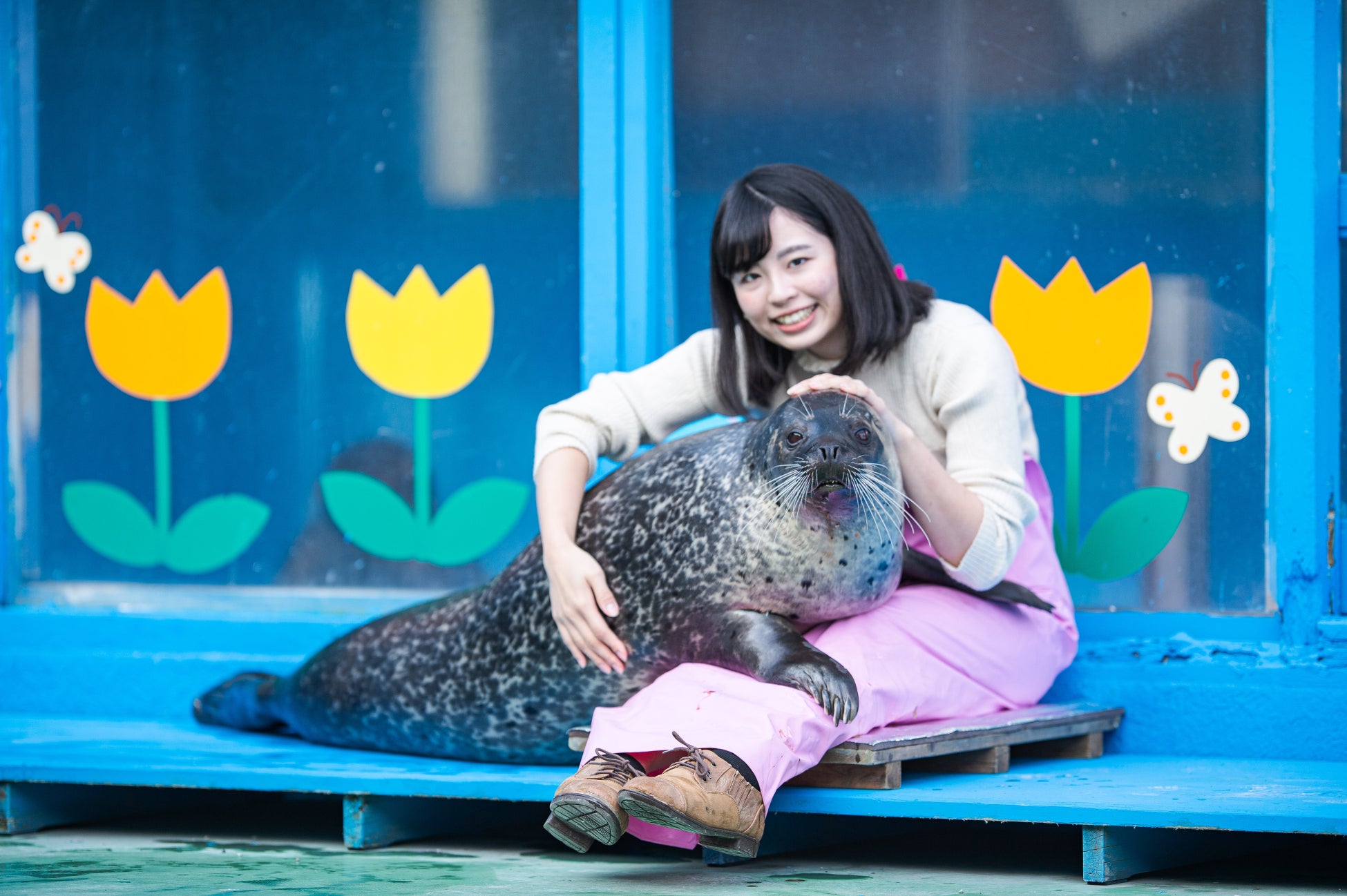 あの人気イベントが期間限定で復活！”ぬくもり”を全身で感じる「ゴマちゃん膝枕体験」を開催