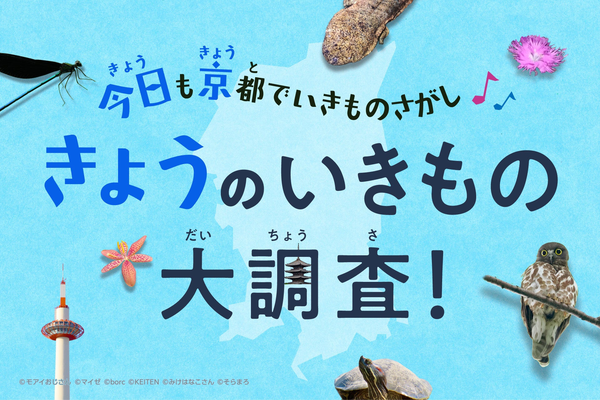 夏休み、京都市全域がいきもの探しのフィールドに。「きょうのいきもの大調査」スタート
