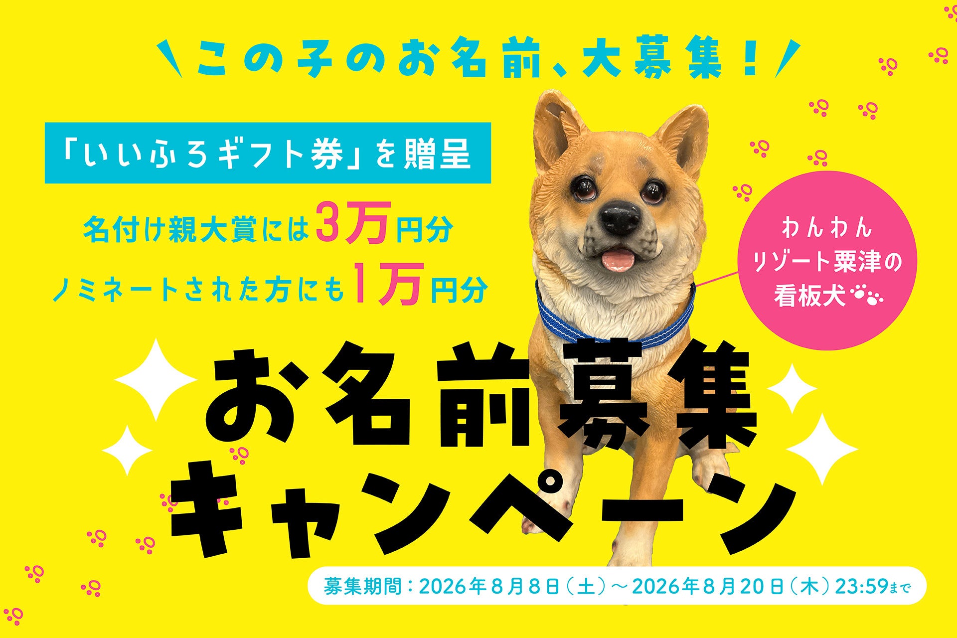 わんわんリゾート 粟津の”看板犬”の名前をみんなで決めよう！Instagramで「お名前募集キャンペーン」を8月8日(土)より開催