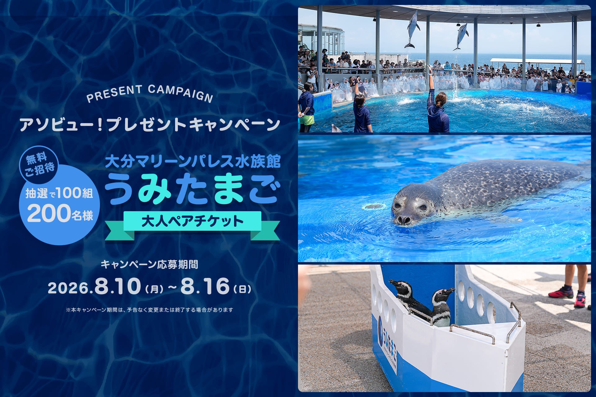 アソビュー！、100組200名様に当たる「大分マリーンパレス水族館 「うみたまご」」大人ペアチケットプレゼントキャンペーンを2026年8月10日（月）より開催！
