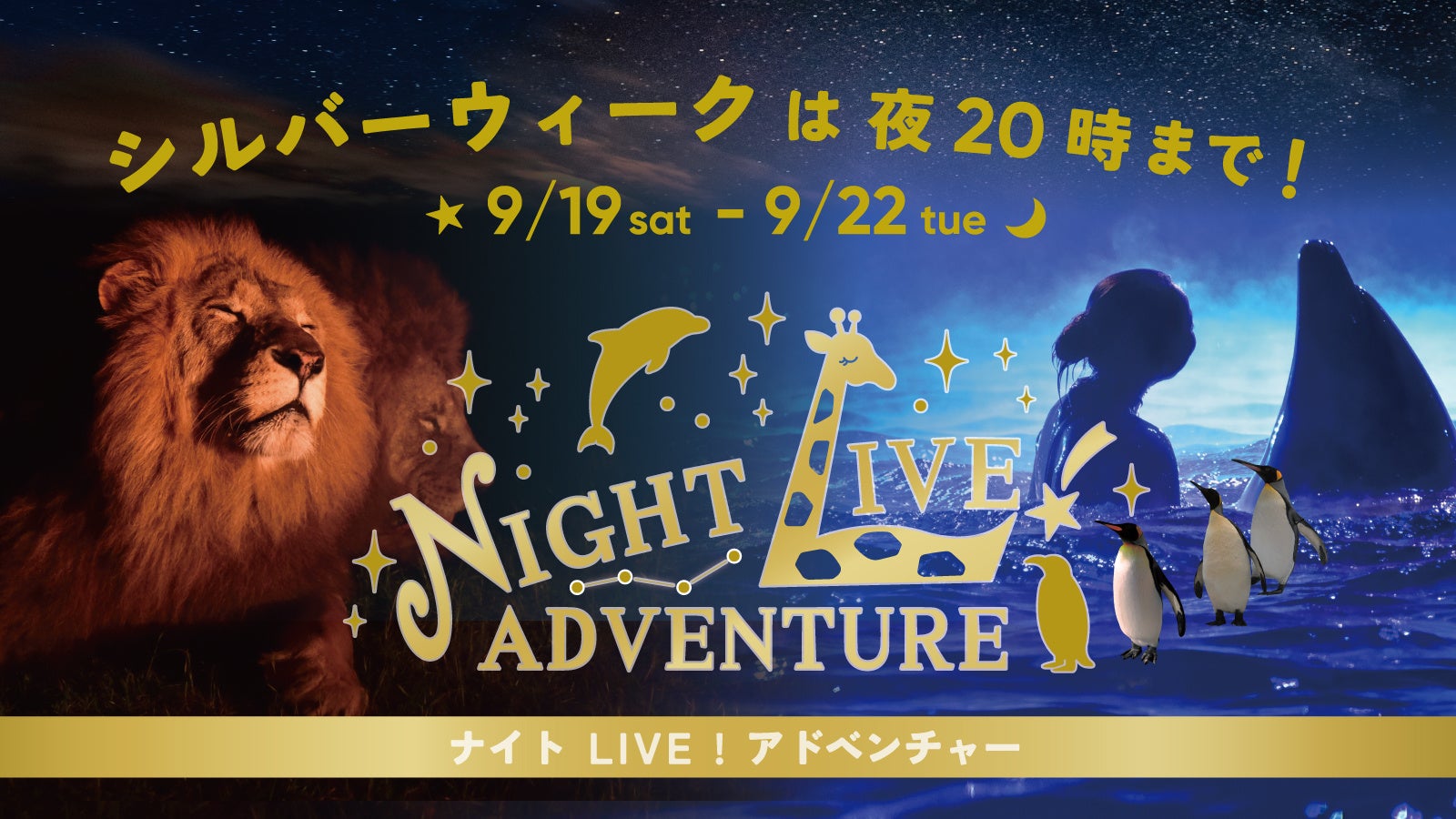 台本のないドラマ、１，６００のいのちが輝く秋の夜間特別営業『シルバーウィーク ナイトLIVE！アドベンチャー』開催 〜早まる日没が誘う没入体験。「ナイトオウサマペンギンパレード」も初登場！〜