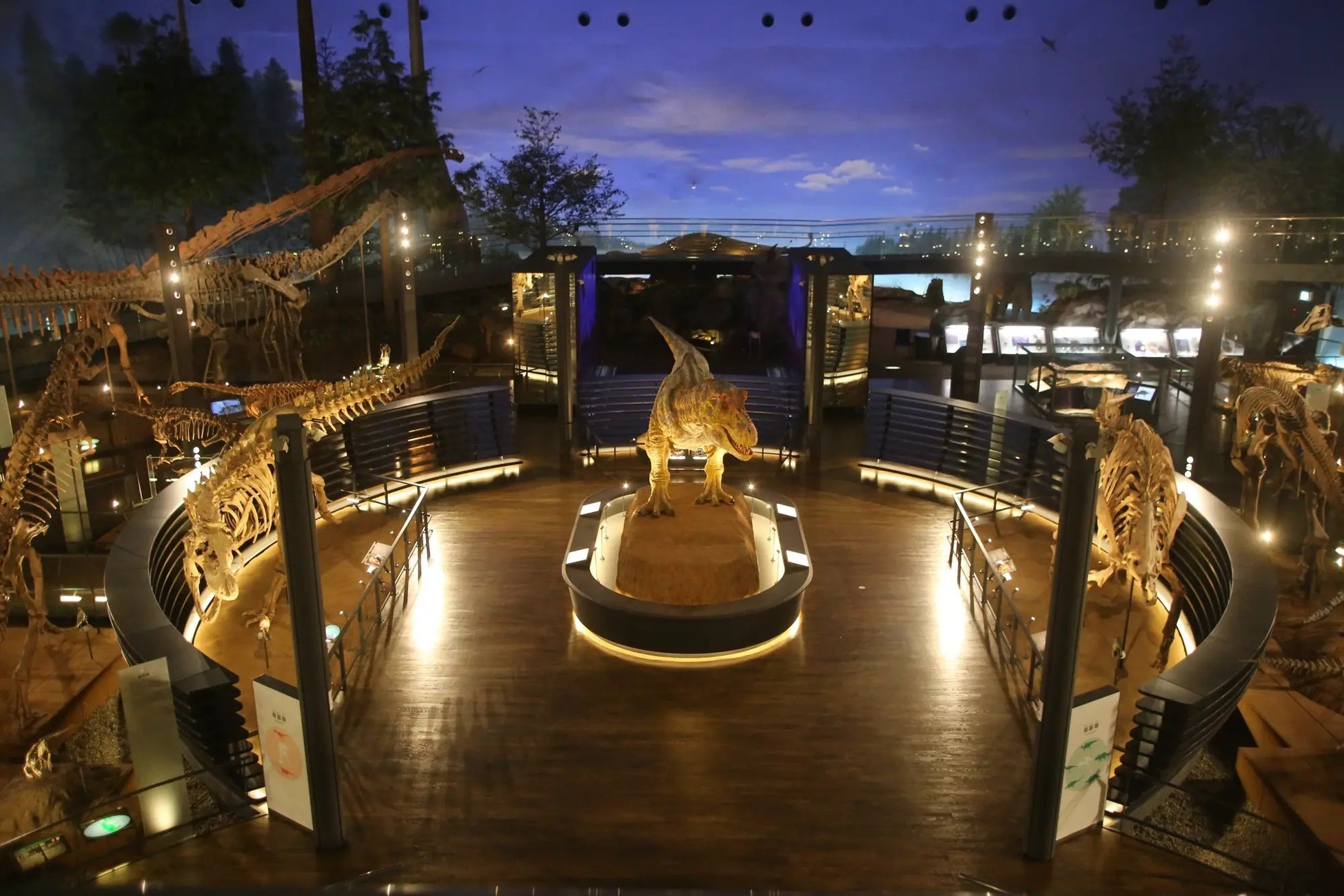 夜の恐竜博物館を貸し切り！「恐竜博物館プレミアムナイトミュージアムツアー」