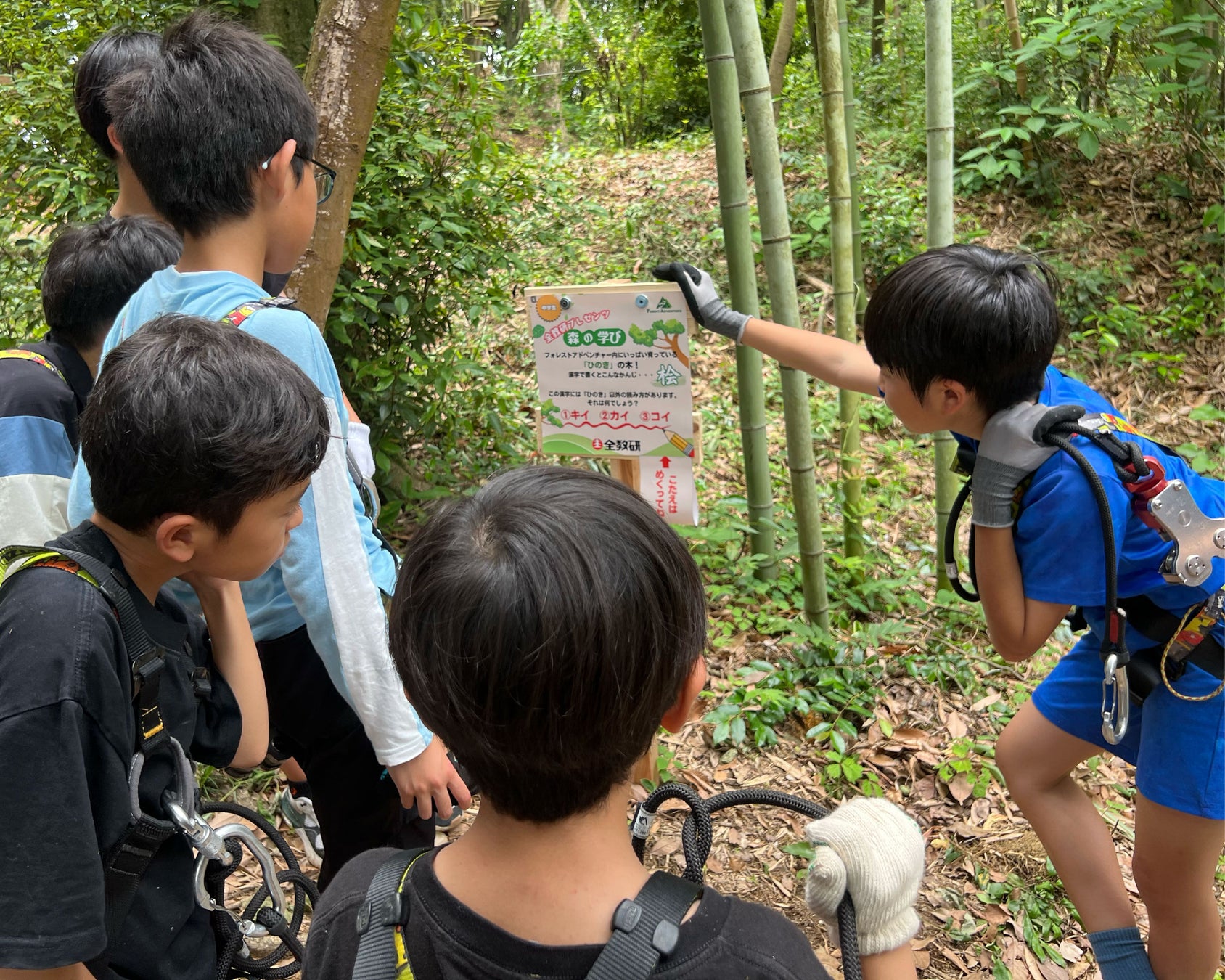 夏休みの自由研究にも活用できる体験型学習プログラム「森の学び」が九州3施設へ拡大