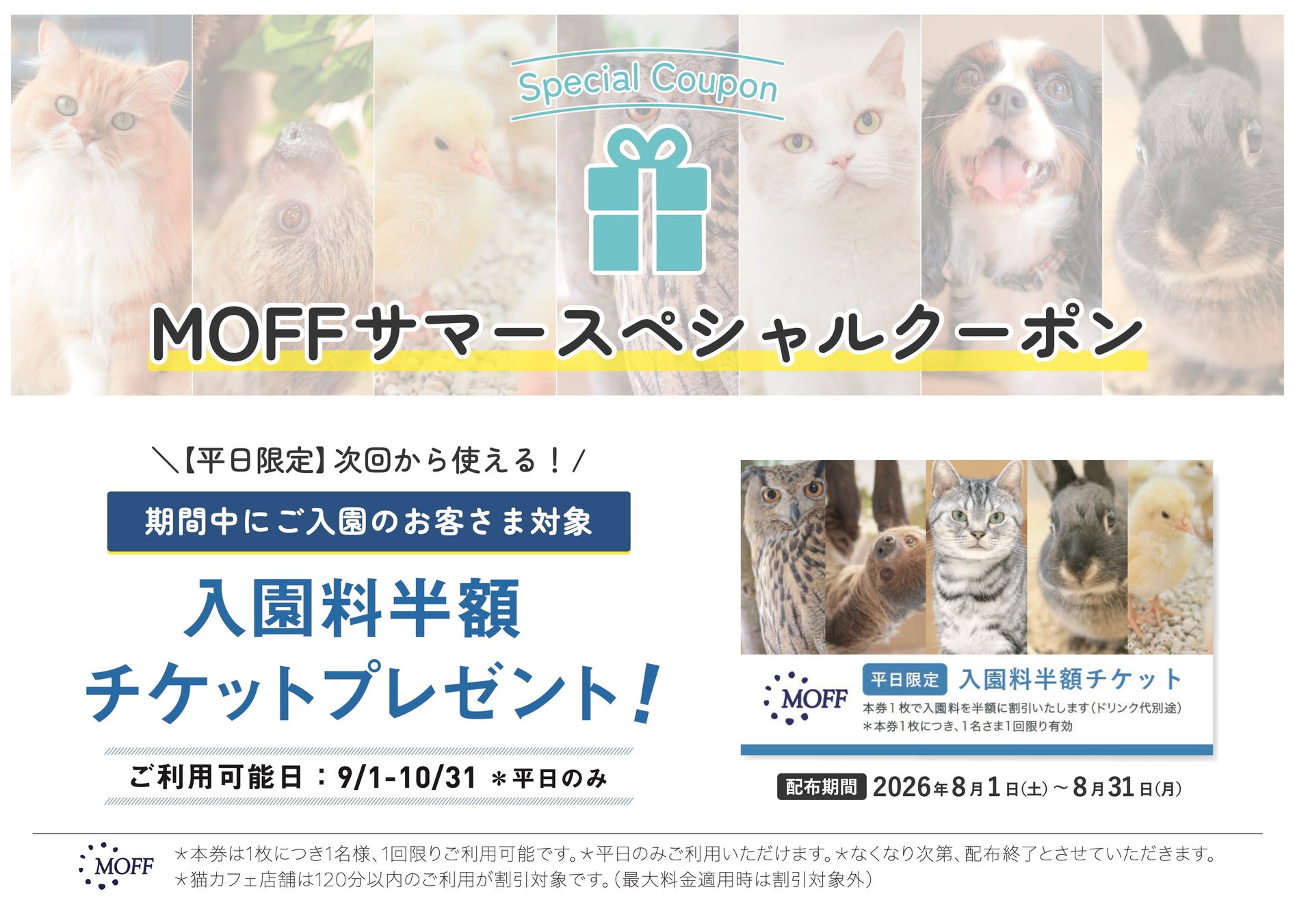 【次回入園半額】夏の思い出から自由研究まで！？「サマースペシャルクーポン」配布＆「ふれあい観察ノート」新発売！