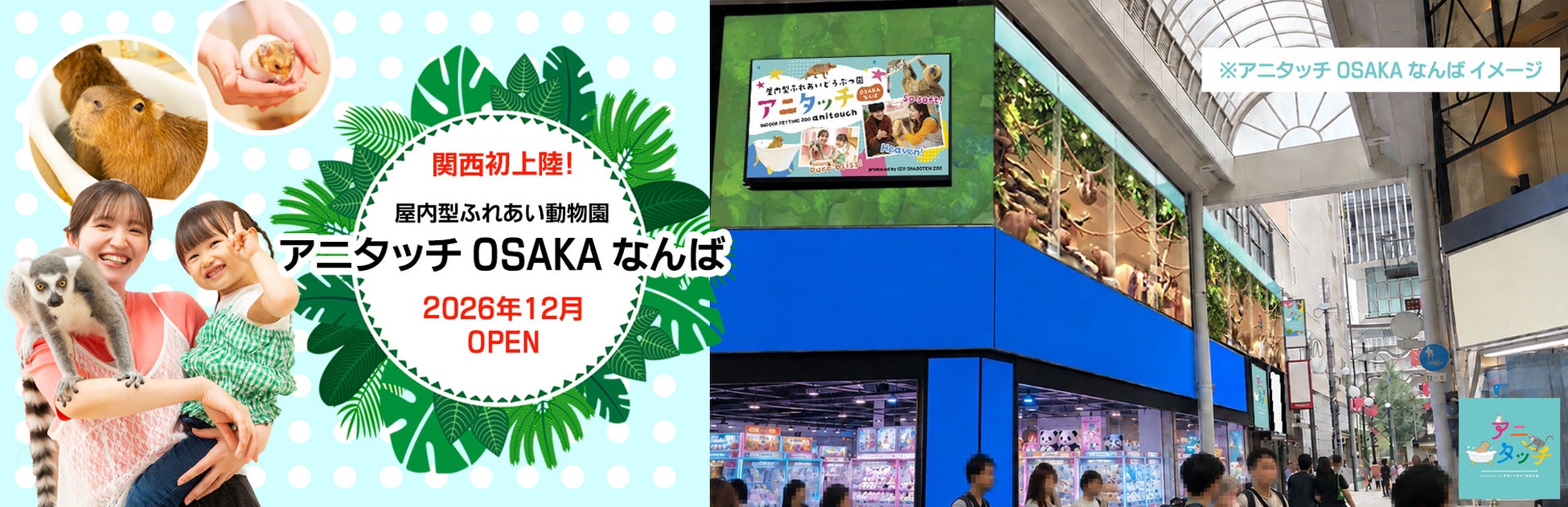 《伊豆シャボテンリゾート株式会社50周年記念事業》【関西初上陸】2026年12月「アニタッチ」が大阪・なんばにオープン！ 屋内型ふれあい動物園 『アニタッチ OSAKA なんば』