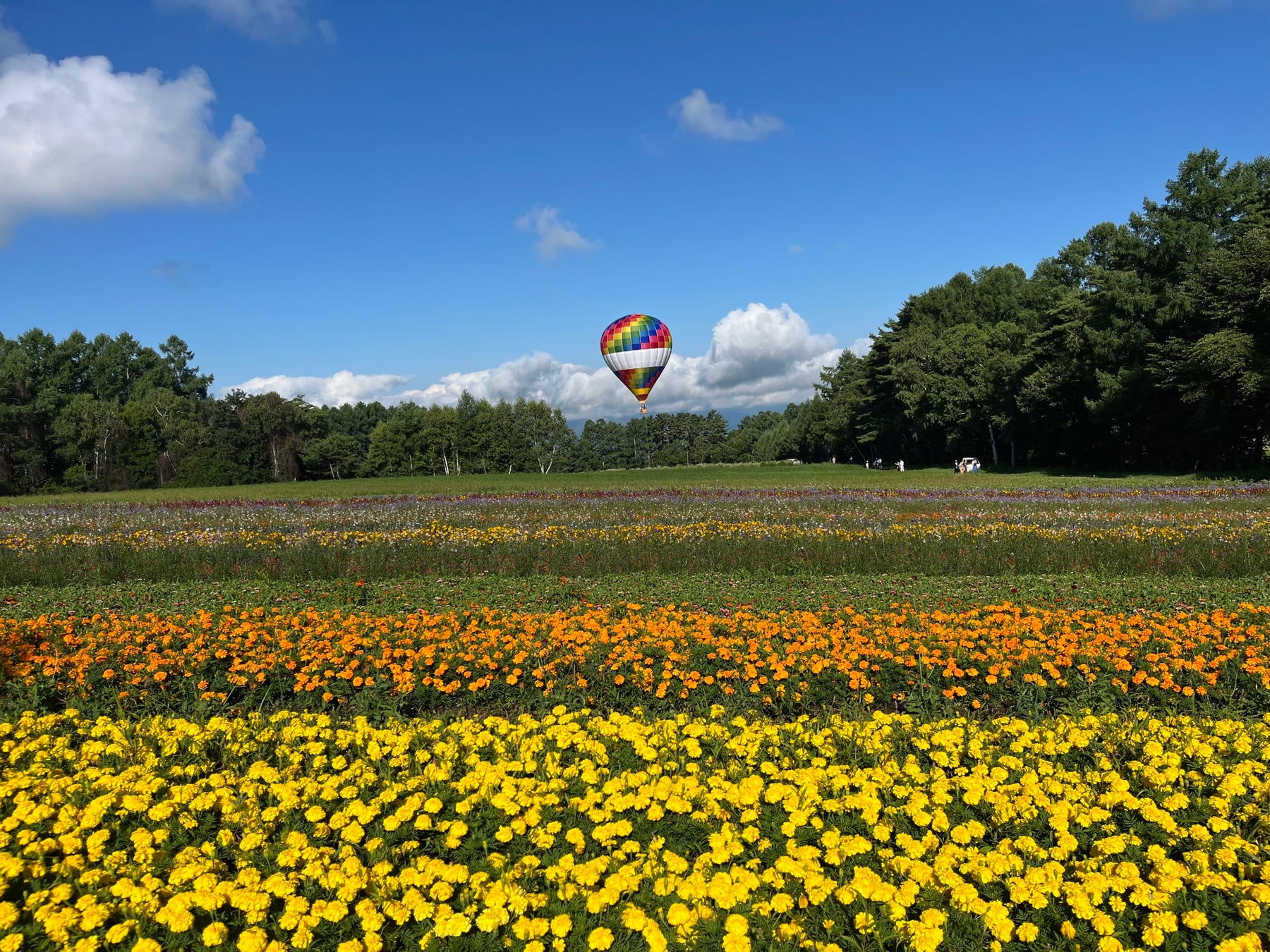 花畑気球体験！10haの花畑と八ヶ岳の絶景を空から満喫（8/23限定開催）【八ヶ岳農業大学校「YATZ GARDEN（ヤッツガーデン）」】