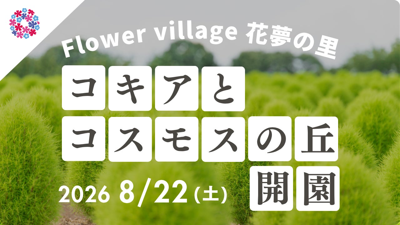 【広島／世羅】2026年８月22日OPEN！「コキアとコスモスの丘」今年は夏から秋にかけて開園します《Flower village 花夢の里》