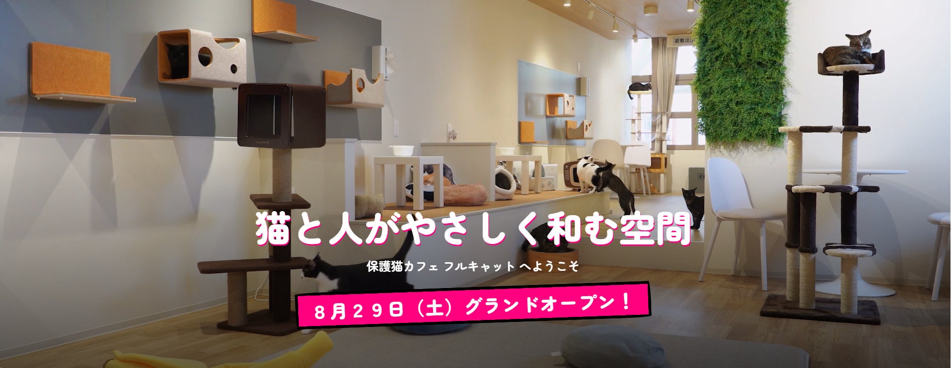 黄金色の田んぼで、南魚沼産コシヒカリを収穫！25年目の「稲刈り体験」を9月23日開催