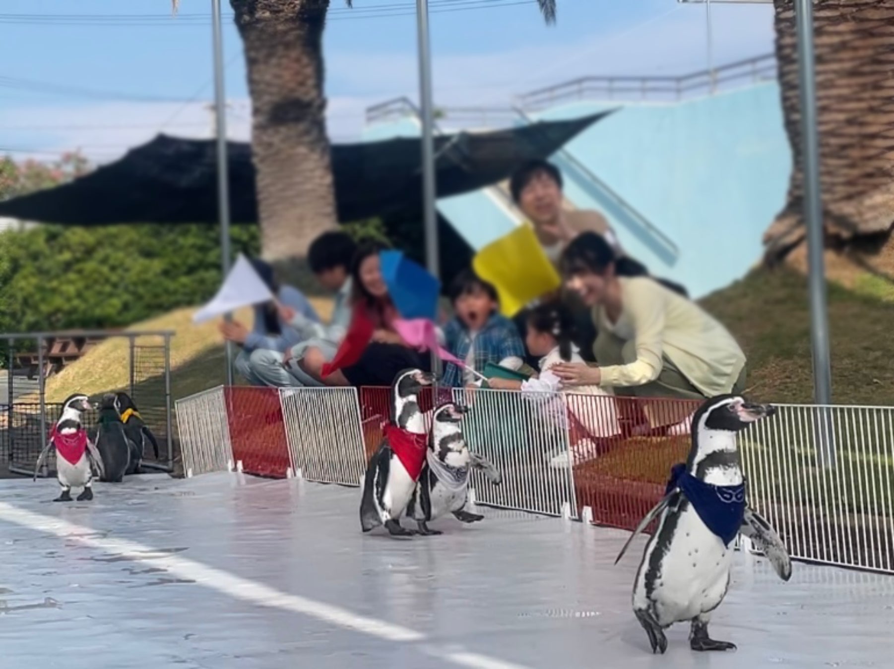 「楽天トラベル」、「家族アルバム みてね」と共同で、子連れ旅行におすすめの宿泊施設を特設ページで公開