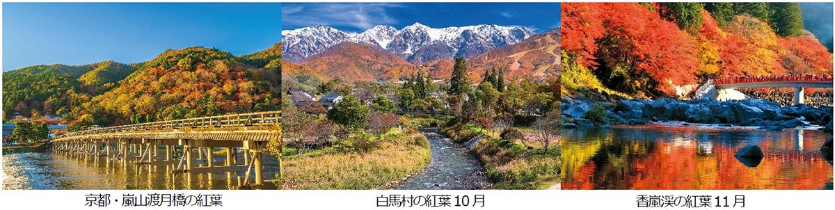 多様化する旅のニーズに応える3つの宿泊プランが好評! 明治時代に建てられた蔵を改装した一棟貸しの宿「がもう家」