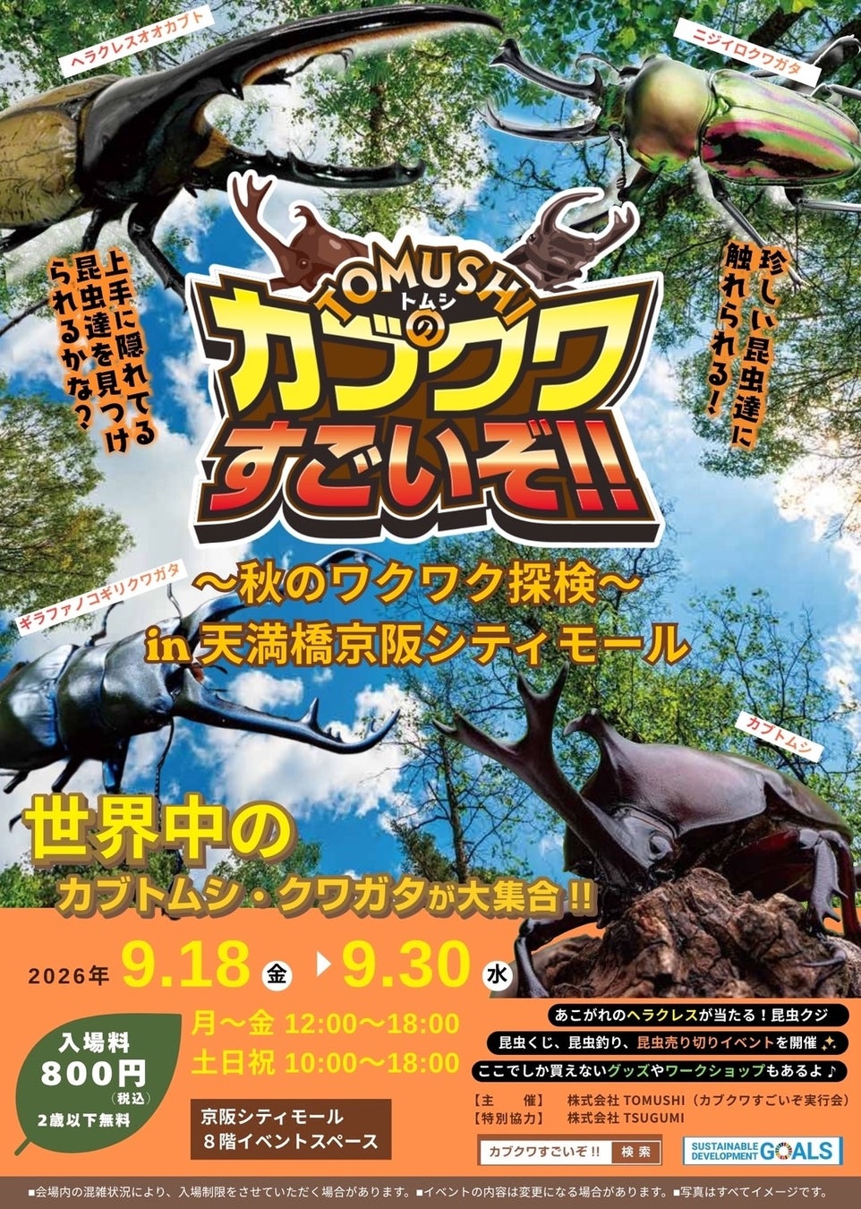 【SW・天満橋】世界最大のヘラクレスに会える！親子で楽しむ体験型昆虫イベント「凄いぞカブクワ展」を京阪シティモールで9月18日より開催