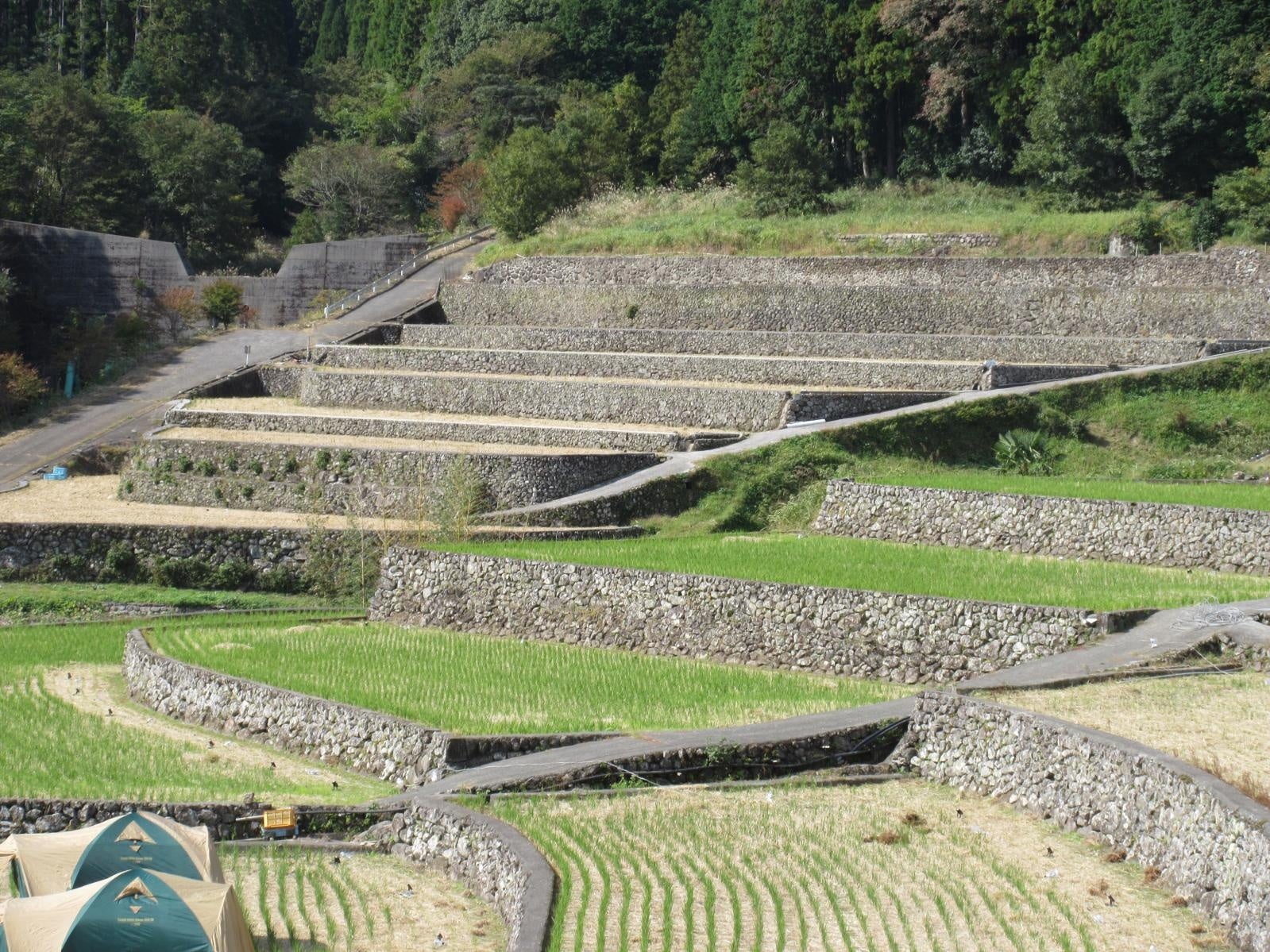 【小田急 山のホテル】箱根・芦ノ湖畔に建つ古城風ホテルで10月限定のハロウィーン仕様アフタヌーンティー