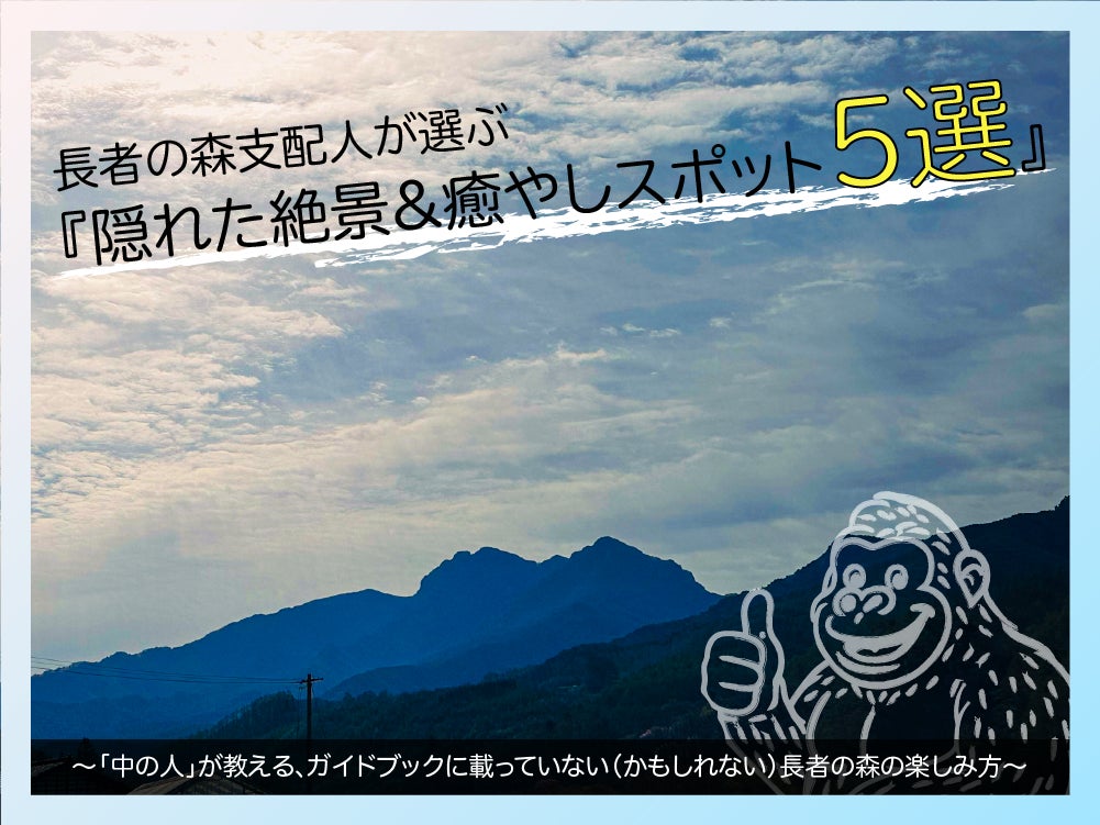 【支配人が本気で選ぶ】SNSで話題の「ゴリラ山」から穴場渓谷まで！長者の森で絶対に見てほしい『隠れた絶景＆癒やしスポット5選』を勝手に発表