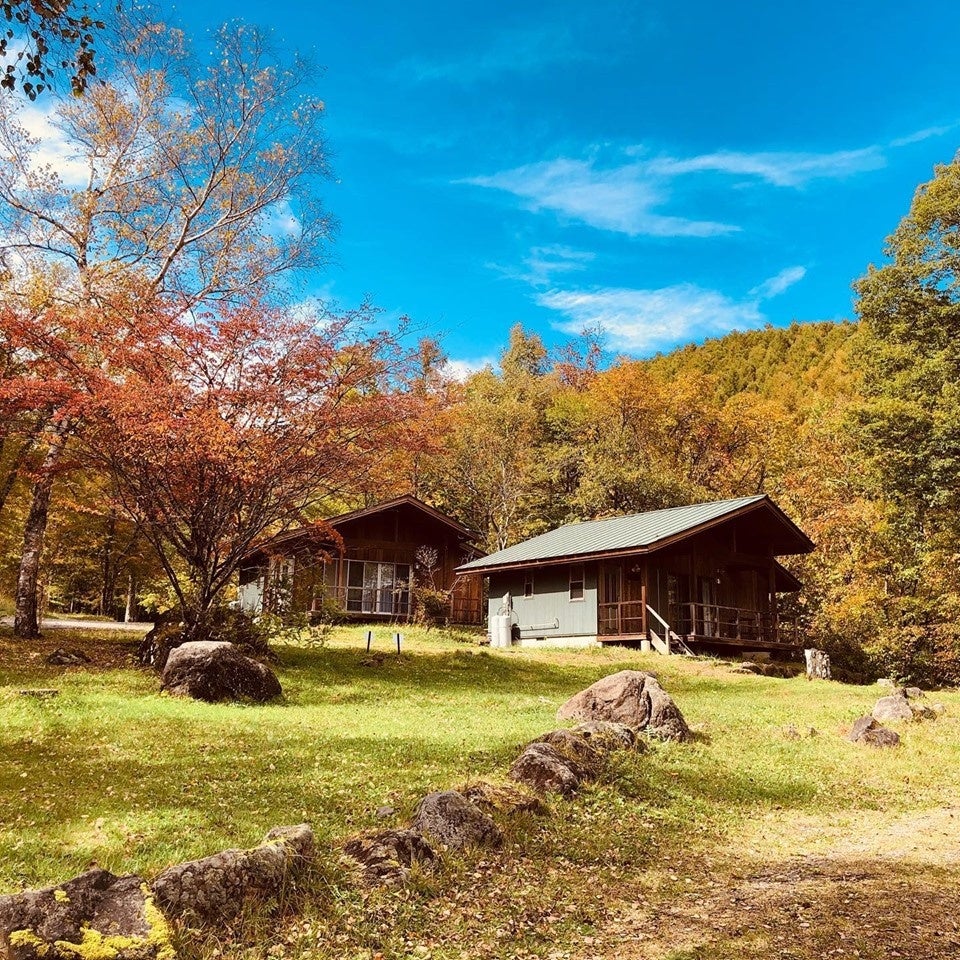【2026年秋】五穀豊穣のお茶屋ごはん®︎ 五木茶屋 嵐山本店にて、五感で京都の秋を体験する新たな京丼「秋の京丼五種食べ比べ膳®︎」が新登場!