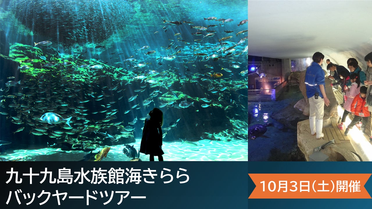 & やど管理、福岡県での運営代行に対応開始。九州エリアの支援体制を強化