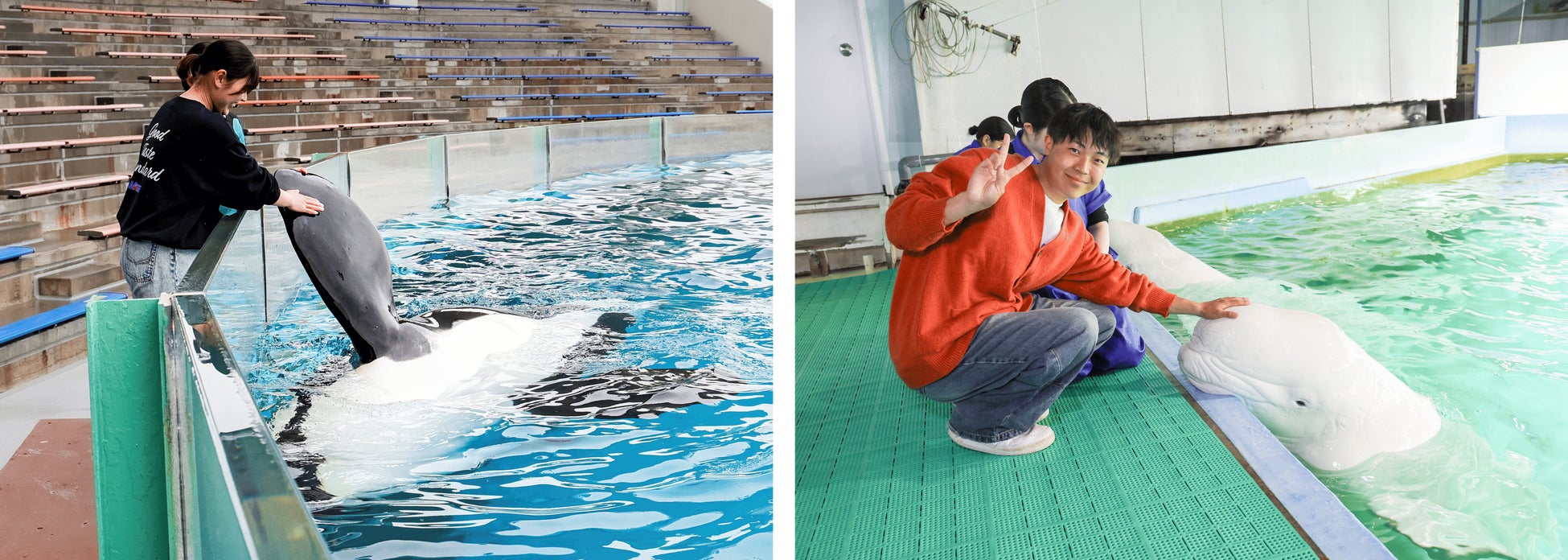 八重山諸島屈指の透明な海「パナリブルー」が残る神秘の島「新城島」へ初上陸！チャーター船を貸し切り、離島の旅を満喫　「沖縄・八重山5島めぐり4日間」を発売