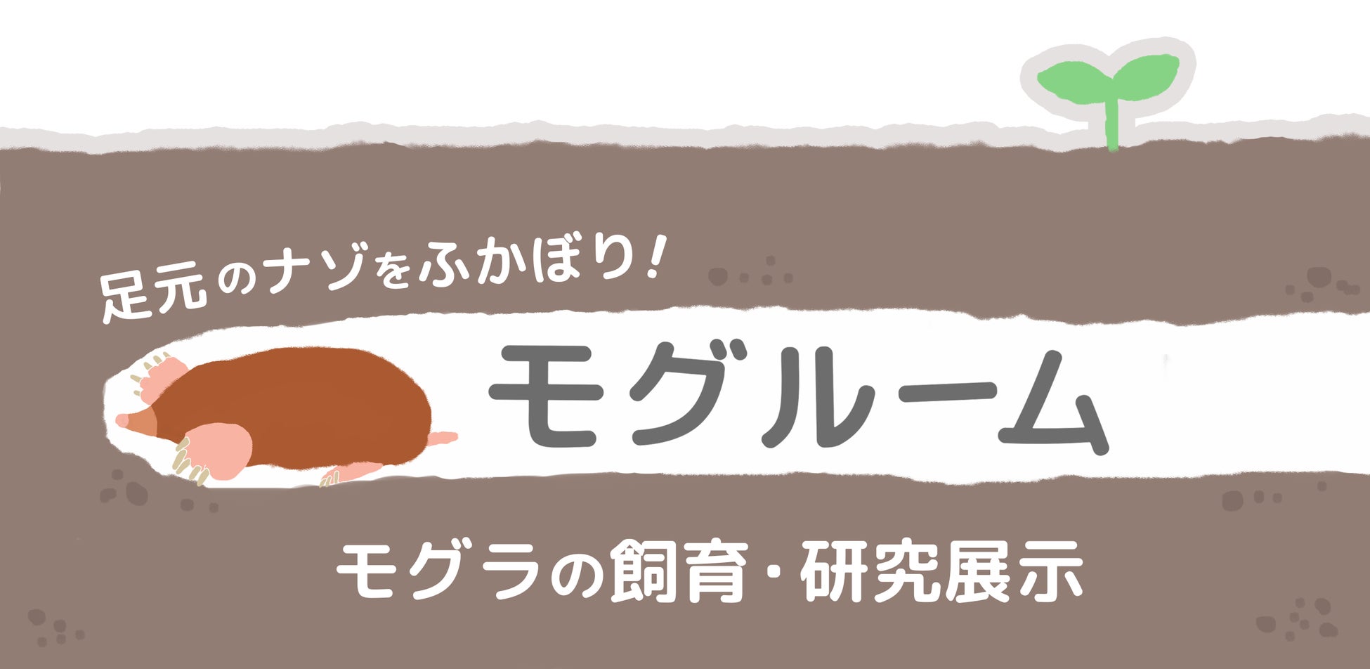 マクセル アクアパーク品川×ネイキッド昨秋の大人気イベント『MOMIJI AQUARIUM by NAKED』がバージョンアップ