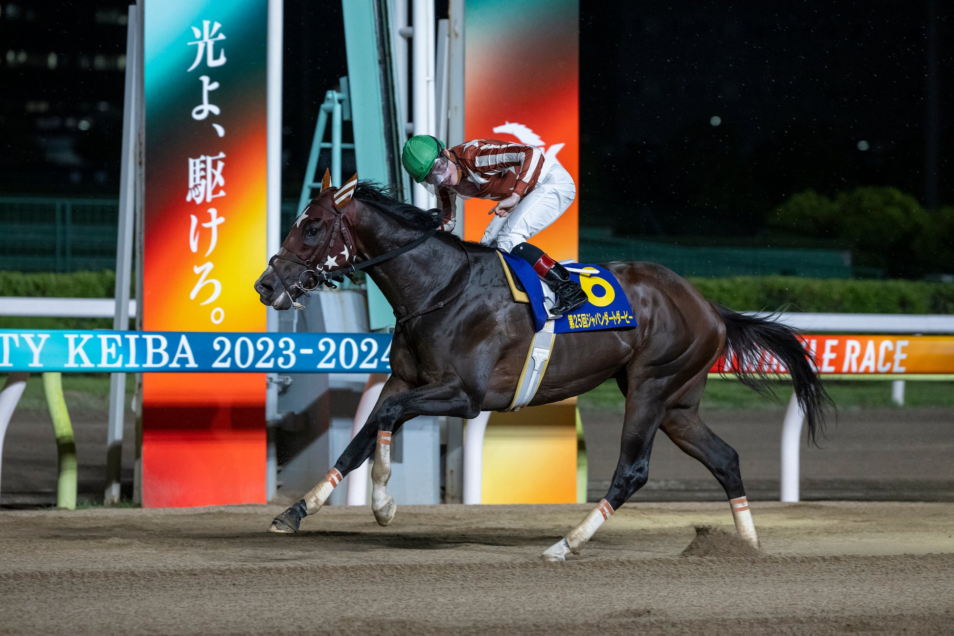 南関東クラシック最後の無敗三冠馬、ミックファイア引退
