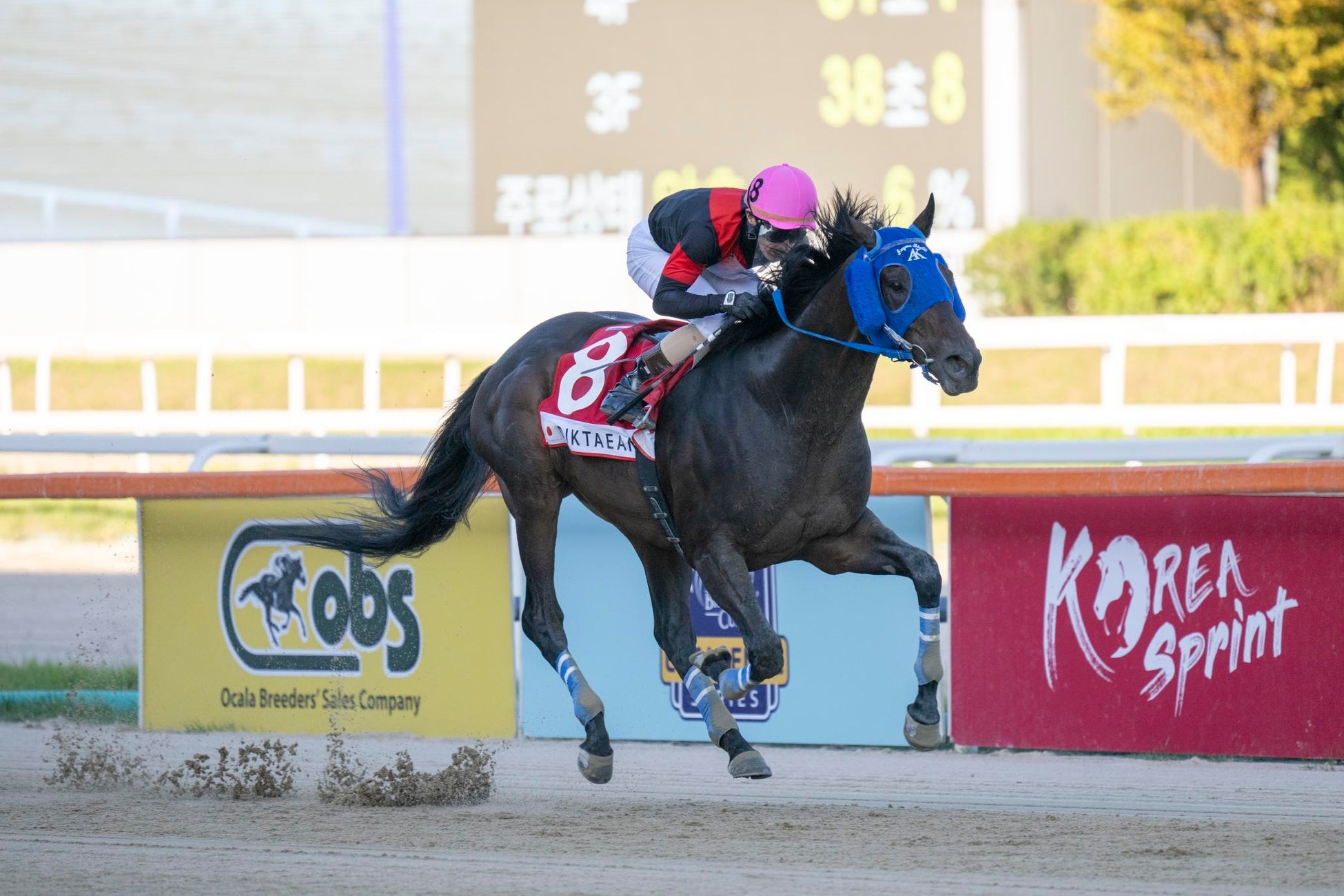 ディクテオンが見事に連覇、昨年に続く快挙達成！コリアカップ（G2）のレース結果について