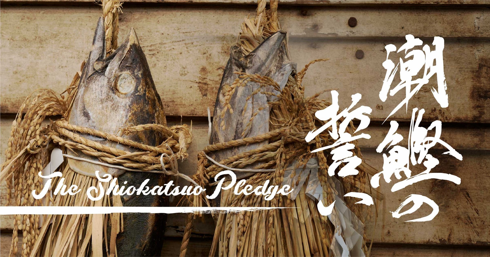 漁業体験＆遊漁の新感覚ツアー「潮鰹の誓い」をトライアル開催