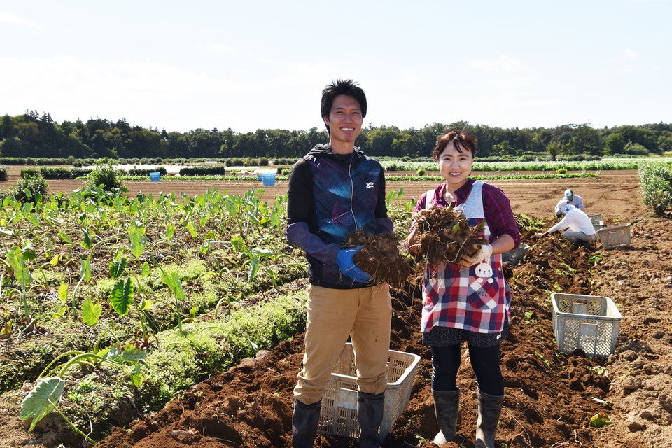 【川越プリンスホテル】地元農園でさつまいも掘り体験ができる秋限定宿泊プラン川越の“いも文化”を味わい尽くす「小江戸秋旅」を販売