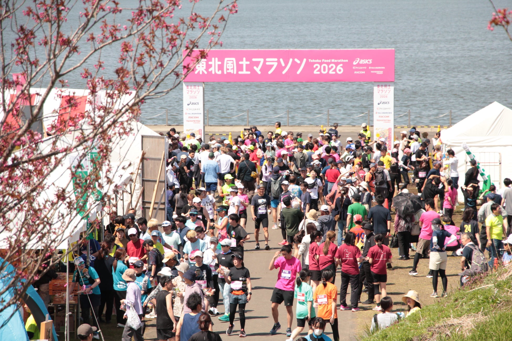 東北風土マラソン2027 来春4月18日（日）に開催決定　9月12日（土）0時よりエントリー開始