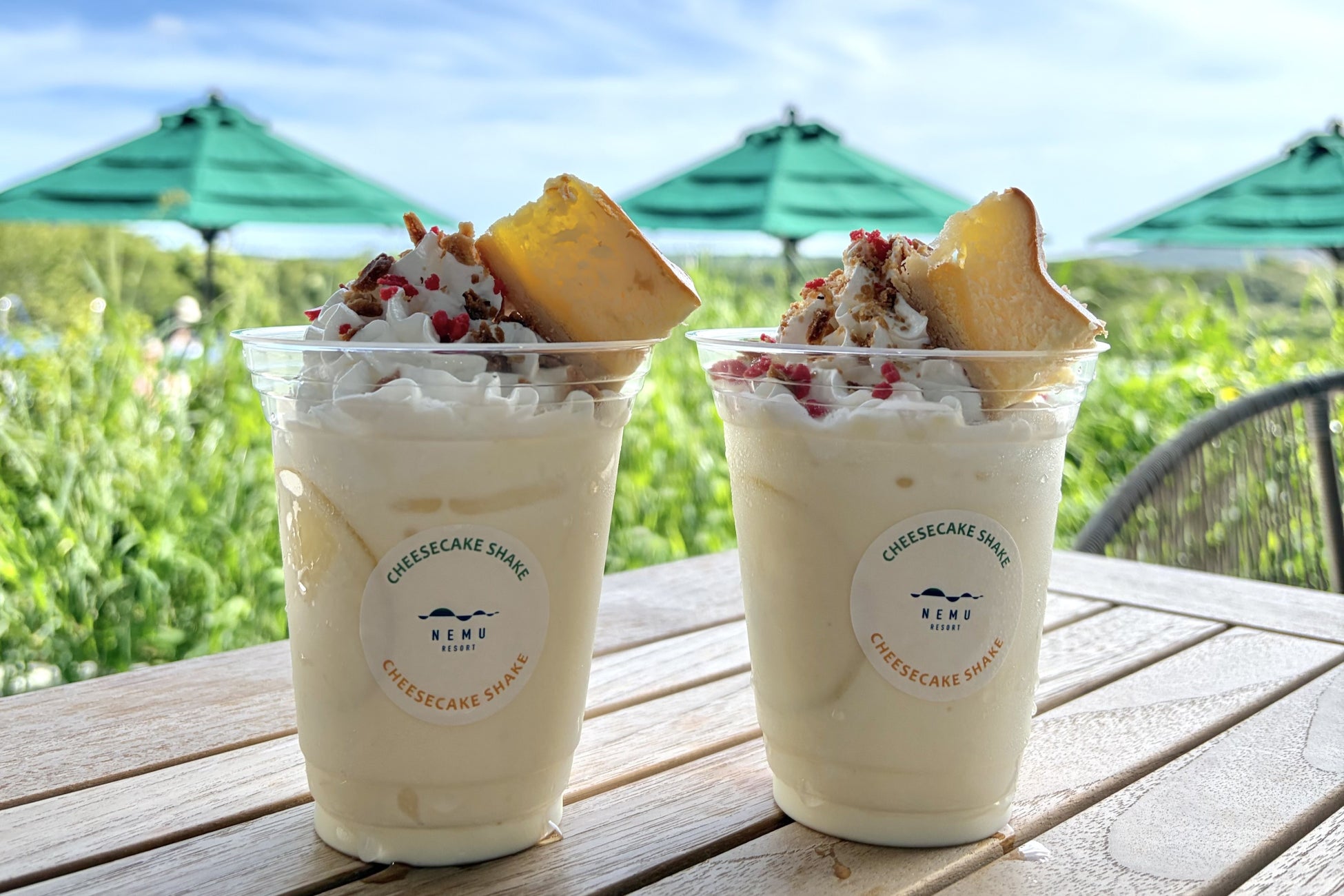 【NEMU RESORT】鳥羽国際ホテルの名物「チーズケーキ」をアップサイクル