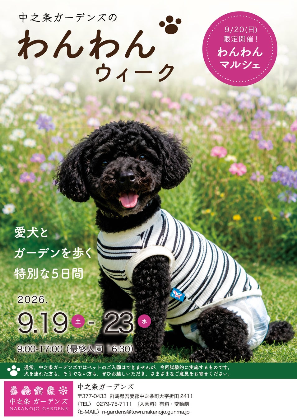 中之条ガーデンズ「わんわんウィーク」初開催。愛犬と、庭を歩く。シルバーウィークの5日間だけの、特別な過ごし方。