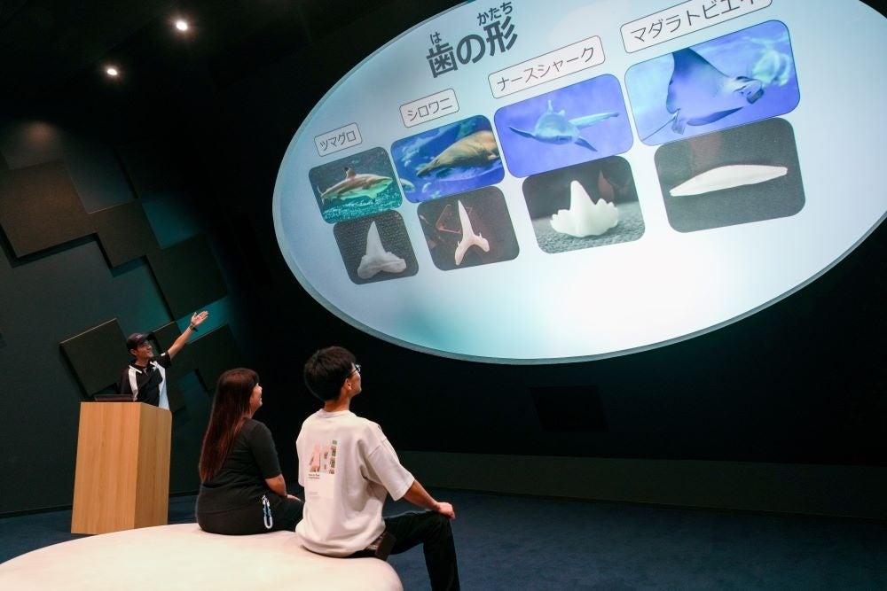 【神戸須磨シーワールド】サメやイルカ、ペンギンなど水族館の生きものについて楽しく学べる！平日限定プログラム「生きものトークライブ」2026年9月16日（水）より開始