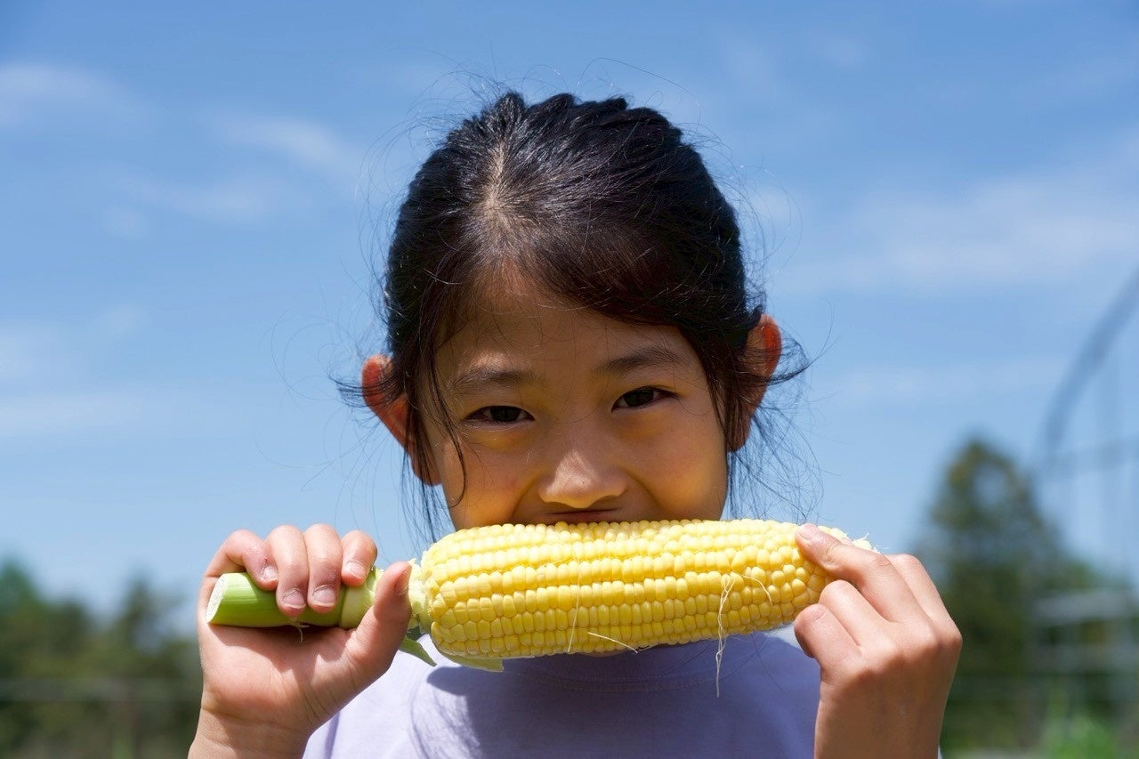 「AI副校長」のサポートのもと、学生・職員が手塩にかけて育てた高原野菜を直売所で販売中！【八ヶ岳農業大学校】