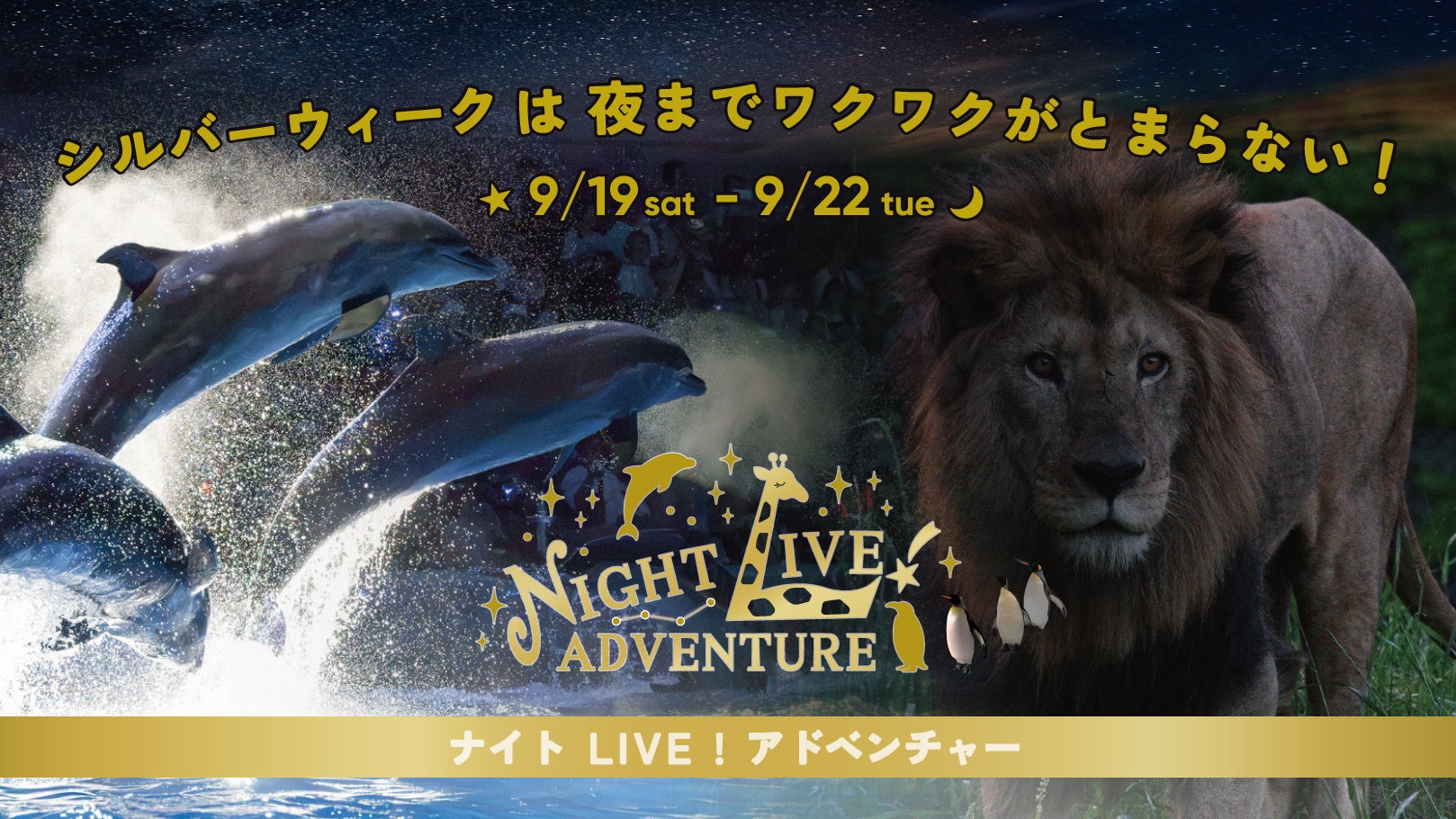 【開催目前】台本のないドラマ、１，６００のいのちが輝く秋の夜間特別営業 『シルバーウィーク ナイトLIVE！アドベンチャー』 〜 いのちが躍動する夜。ナイトオウサマペンギンパレードも初開催！～