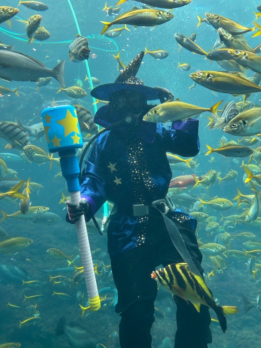 【下田海中水族館】魚たちも楽しみ？今年も仮装ダイバー登場！～魚の餌付けショー“ディスカバリーオーシャン”ハロウィーンVer.～2026 年9 月26 日（土）～10 月31 日（土）